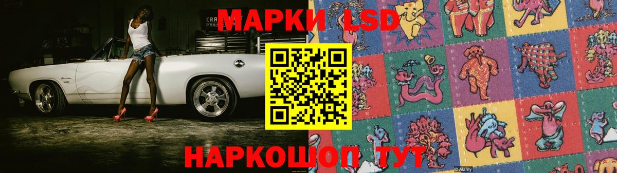 Рузаевка  LSD-25 экстази кислота  ОМГ ОМГ ONION  Вход с VPN 